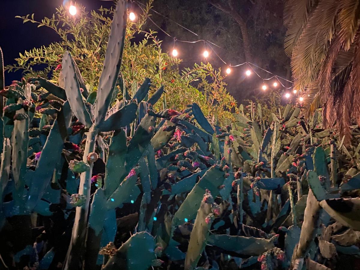Posada Colibri - Hotel & Spa San Juan Teotihuacán Buitenkant foto